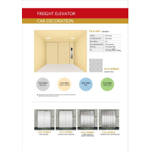 FUJI Cargo Elevator From China Supplier